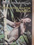 Titokzatos állatok nyomában