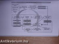 La Crise, et Aprés?