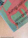 Megkérdeztem a minisztert