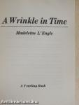 A Wrinkle in Time