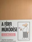 A férfi működése