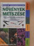 Növények metszése