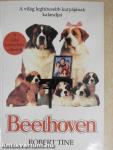 Beethoven