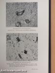 Handbook of filterable viruses