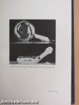 Handbook of filterable viruses