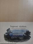 Soproni tájakon