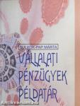 Vállalati pénzügyek példatár