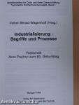 Industrialisierung - Begriffe und Prozesse