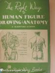 The Right Way to Human Figure Drawing and Anatomy