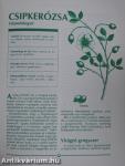 Gyógynövény enciklopédia