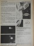 Színes UFO 1995. január-december