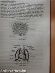 Anatómia, élettan-kórélettan I.