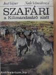 Szafári a Kilimandzsáró alatt