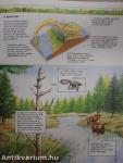 Az élővilág kisenciklopédiája