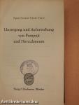 Untergang und Auferstehung von Pompeji und Herculaneum