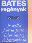 Regények