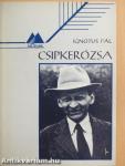 Csipkerózsa