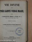 Vie Divine de la Trés-Sainte Vierge Marie