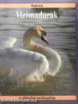 Vízimadarak