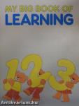 My Big Book of Learning