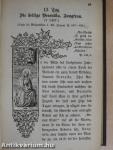 Jugendspiegel für Jung und Alt in heiligen Lebensbildern aus allen Jahrhunderten Der Monat Januar bis Juni 1872. (fél évfolyam) (gótbetűs)