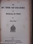 Jugendspiegel für Jung und Alt in heiligen Lebensbildern aus allen Jahrhunderten Der Monat Januar bis Juni 1872. (fél évfolyam) (gótbetűs)