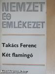 Két flamingó