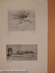 Moderne Graphik - Etchings-Drawings