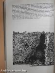 Kortárs 1979. május