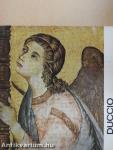 Duccio