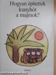 Hogyan építettek kunyhót a majmok?