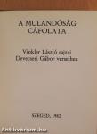 A mulandóság cáfolata (minikönyv)