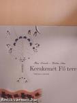 Kecskemét Fő tere