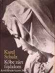 Kőbe zárt fájdalom