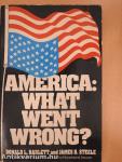 America: What went wrong?