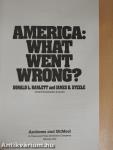 America: What went wrong?