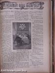 Vasárnapi Ujság/A Vasárnapi Ujság Regénytára 1898. (nem teljes évfolyam)