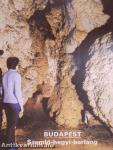 Budapest - Szemlő-hegyi-barlang