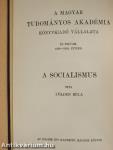 A socialismus I. (töredék)