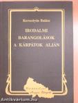 Irodalmi barangolások a Kárpátok alján