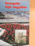 Barangolás Fejér megyében