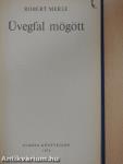 Üvegfal mögött