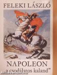 Napoleon 1.