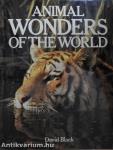 Animal Wonders of the World