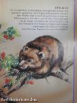 Tierkinder