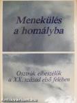 Menekülés a homályba