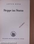 Steppe im Sturm