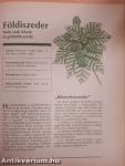 Gyógynövény enciklopédia