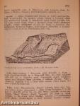 Földrajzi kislexikon (dedikált példány)