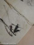 C. Iulii Caesaris commentarii de bello gallico et civili
